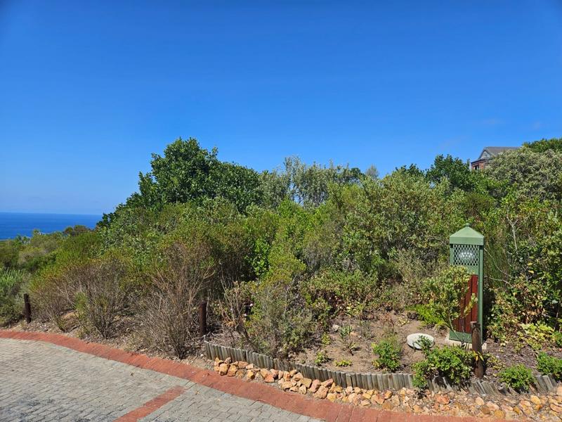 0 Bedroom Property for Sale in Herolds Bay Western Cape